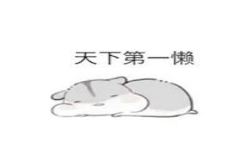 勤劳的牛和懒惰的猪作文8篇
