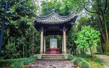 读兰亭序心得体会6篇