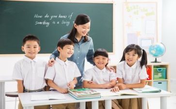 我的老师们作文800字5篇