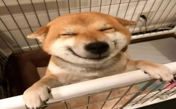 我的快乐作文模板5篇