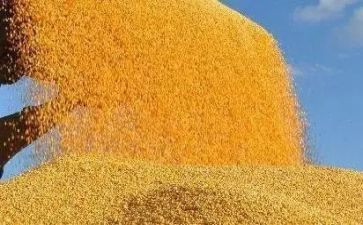 粮食日宣传总结7篇