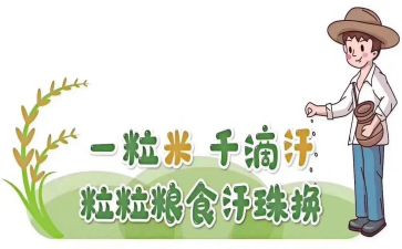 幼儿园粮食节活动方案7篇
