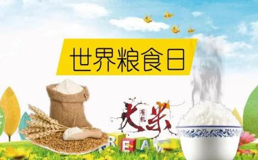 粮食节约活动方案参考8篇
