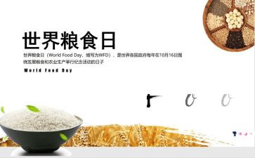 粮食节约活动方案8篇