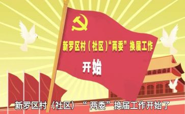 两委会工作总结模板6篇