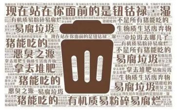 垃圾分活动方案8篇