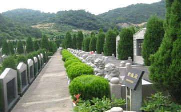鄂陵园心得体会7篇