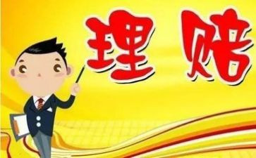 保险理赔员的个人总结8篇