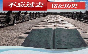 历史教师工作总结通用范文5篇