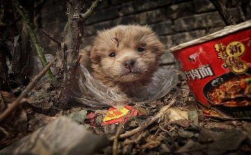 流浪汉的作文8篇