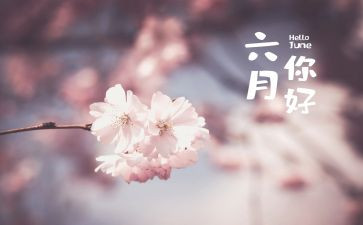 小班六月份工作总结5篇
