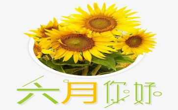 六月安全生产月活动方案8篇