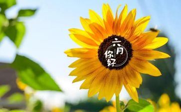 六月安全生产月工作总结5篇
