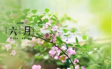 六月安全生产月活动总结8篇
