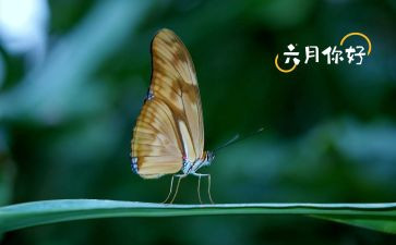 六月的心得体会5篇
