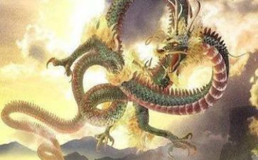 恐龙百科的读后感7篇