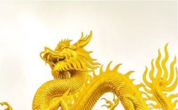 9龙调查报告作文8篇