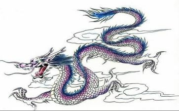 有关龙的教案优质8篇