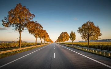 道路交通安全专题教育教案7篇