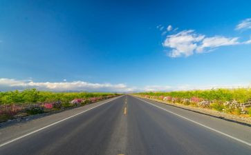 乡村道路合同6篇