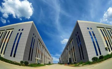 鲁抗顶岗实习报告优质7篇