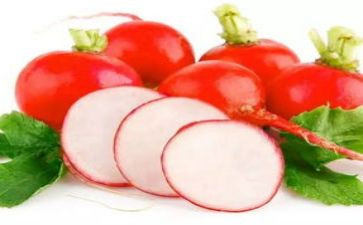 小兔子的大萝卜教案8篇