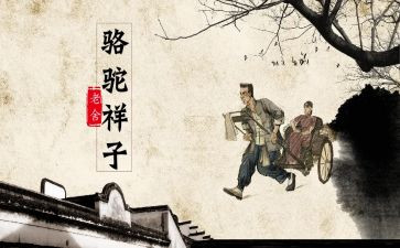 《骆驼祥子》心得体会精选5篇