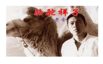 骆驼祥子读书心得体会500字8篇