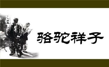 骆驼祥子对祥子的读后感模板6篇