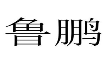 鲁鹏企业年终总结6篇