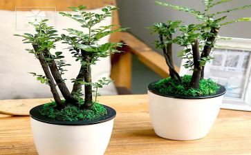 绿化节活动总结8篇
