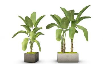 绿皮书电影的观后感推荐6篇