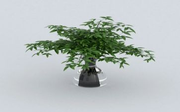 园区绿化工作总结8篇