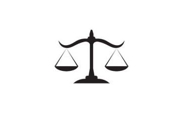 老律师个人年度总结7篇