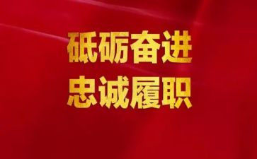 履职个人年度总结6篇