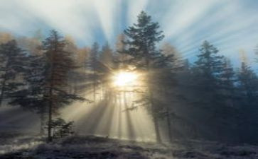 2024年中考满分作文推荐8篇