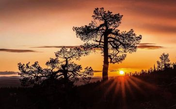 2024年中考满分作文模板6篇