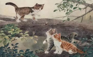 猫和老虎读后感5篇