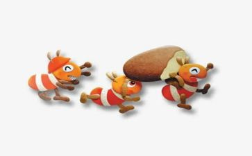 大班科学蚂蚁教案8篇