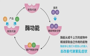 酶实验心得体会最新6篇