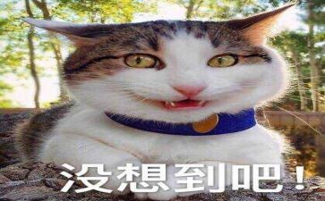 没想到作文5篇