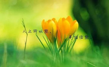 关于名人的作文600字5篇