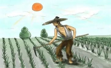 悯农诗的读后感5篇