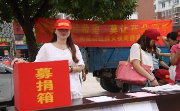 对募捐活动的总结5篇