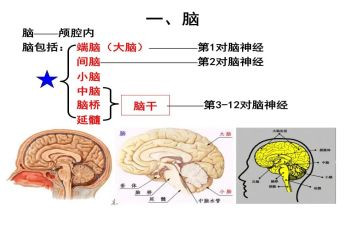 装电脑心得体会5篇