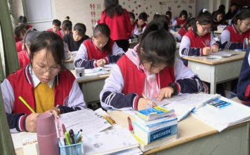 小学一年级语文老师教学总结7篇