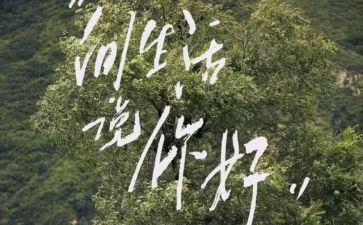 你好2024作文800字5篇