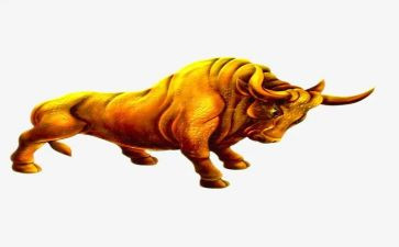 关于牛的活动策划推荐5篇