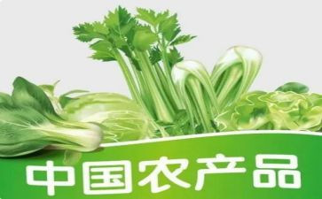 农产品监管工作总结5篇
