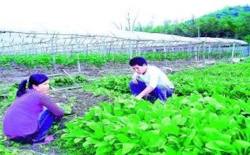 农技人员培训总结6篇